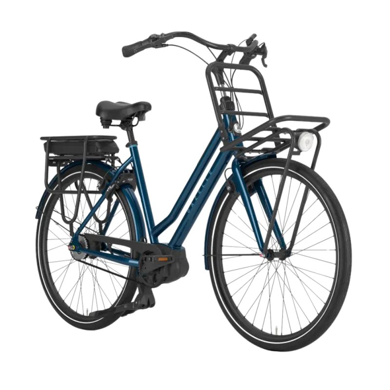 Gazelle HeavyDutyNL C5 HMB Diamant
