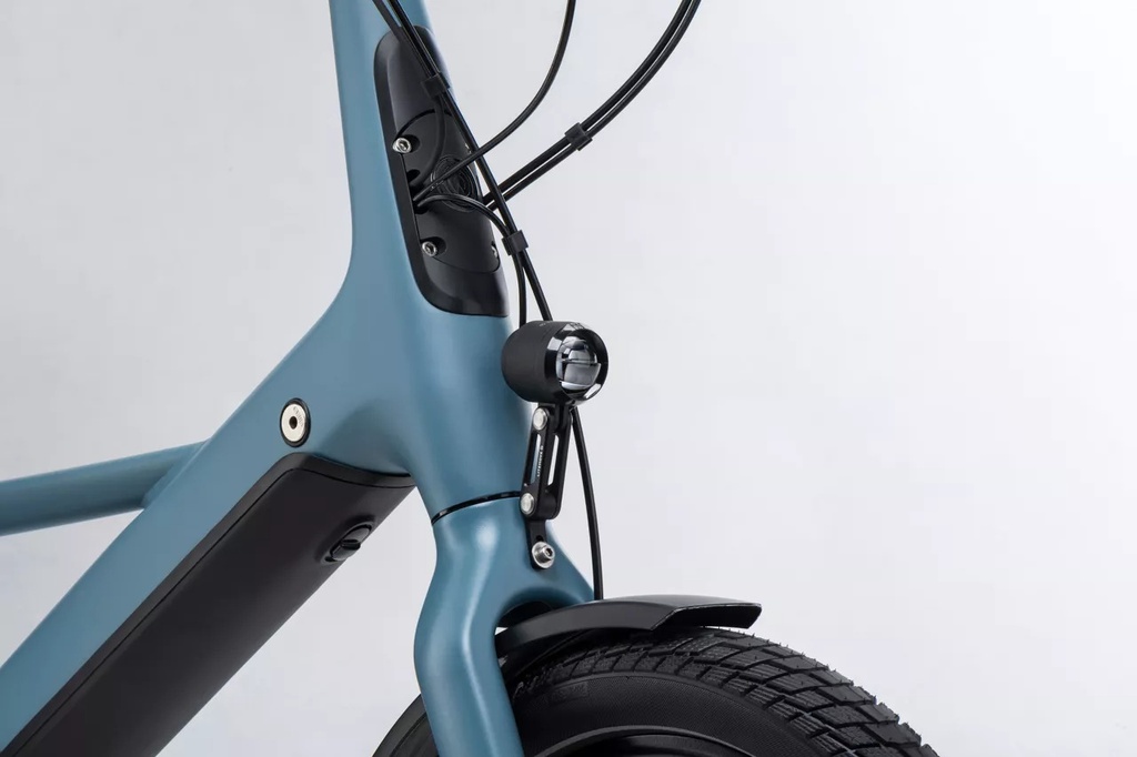 Winora Radius - Smart System