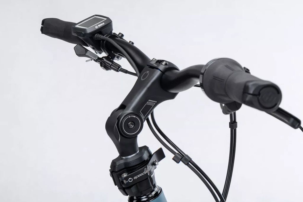 Winora Radius - Smart System