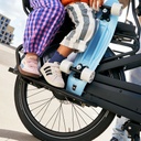 Urban Arrow Breeze