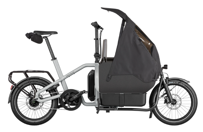 Vélo Électrique Riese & Müller Carrie Easy